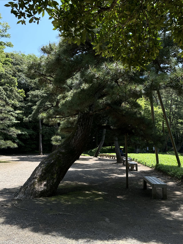 藏在東京市中心的秘境遊園地 | 小石川後樂園