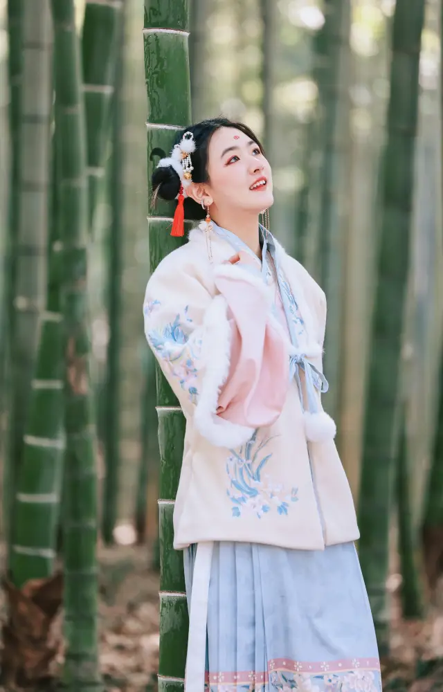 Spring Festival in Yixing | Treasure spot in Jiangsu, Zhejiang and Shanghai | Yixing Bamboo Sea