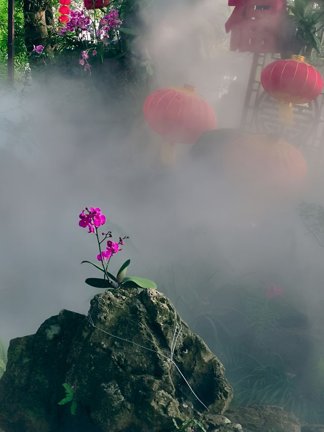 春節去了趟於山蘭花展，以為到了仙境