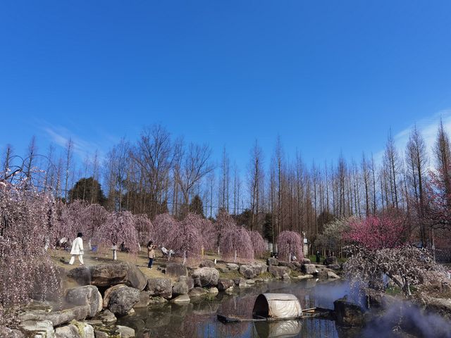 問花村—全都盛開