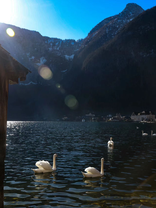 水晶與冰山之顛的因斯布魯克Innsbruck，你值得