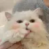 Benjamin~White-Henry