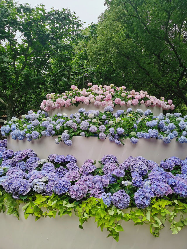 五月的徐家汇公園～依舊很美，精美的佈景