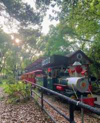 這個假期準備去哪玩？去上海楊浦區上海共青森林公園