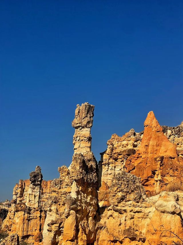 不期而遇的野景        ——五彩沙林