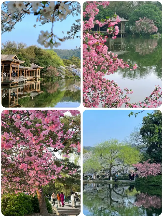 Having lived in Hangzhou for 7 years, my favorite is the one-day spring tour route around West Lake