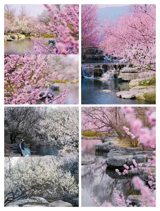 Beijing's direct subway access to the secret Peach Blossom Pool costs only 5 yuan for a ticket