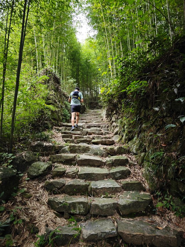 秋日，來莫干山徒步吧