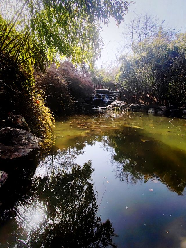 隨春天的腳步來豐慶公園一同感受暖陽、鮮花吧