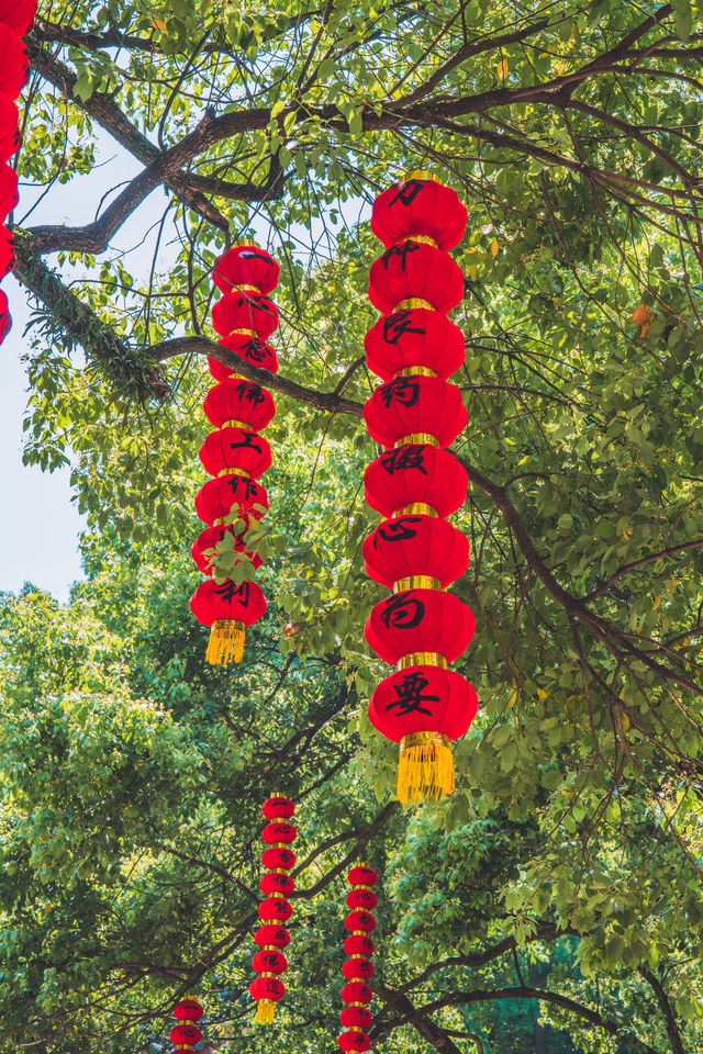 有緣千里來相會：法喜寺禮佛之旅