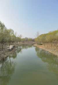 賞花探綠與雁同行，就在南海子公園