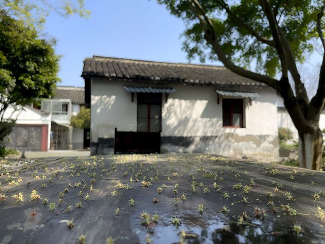 清新 安逸的歇馬橋村