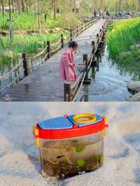 春遊記小眾白沙灘、抓蝌蚪、賞花的濕地公園