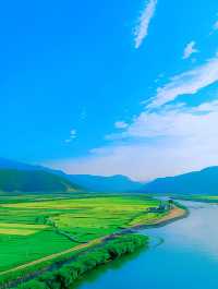 杭州油菜花海：金色海洋，心靈療癒之地！