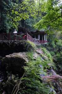 莫干山這條親子徒步線路，一定要注意了