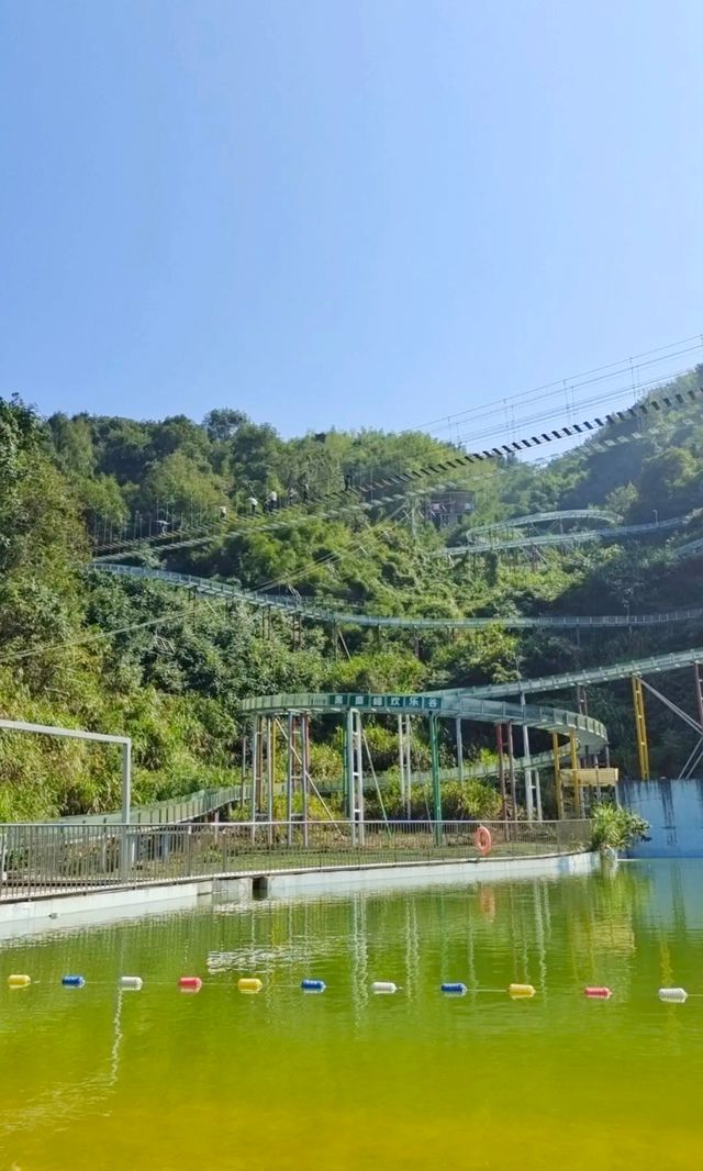 黑麋峰國家森林公園：被譽為“星城綠魂”的自然寶藏