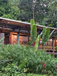 🌴🛏️ Pura Vida Vibes at Los Altos Resort, Costa Rica! 🌺