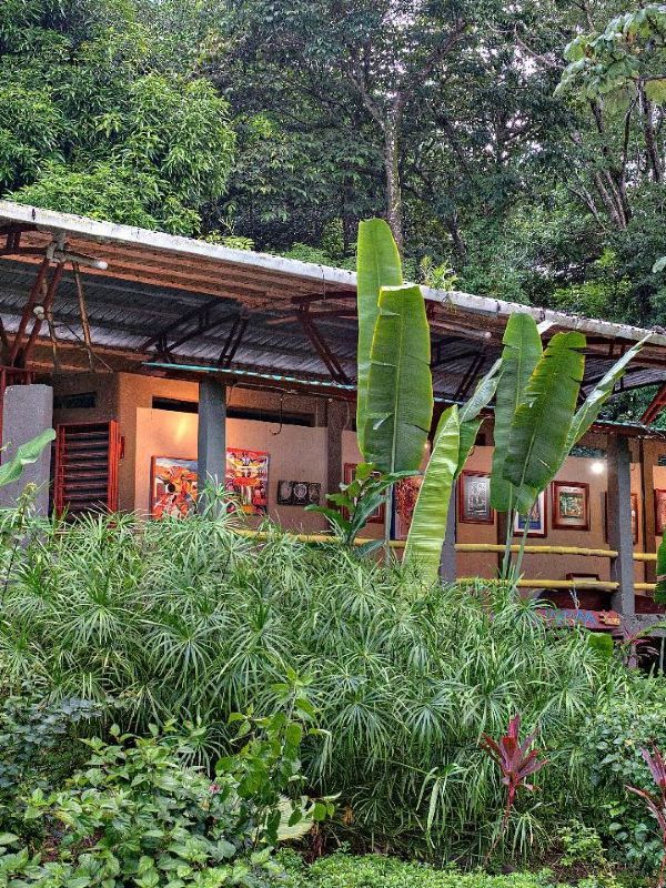 🌴🛏️ Pura Vida Vibes at Los Altos Resort, Costa Rica! 🌺