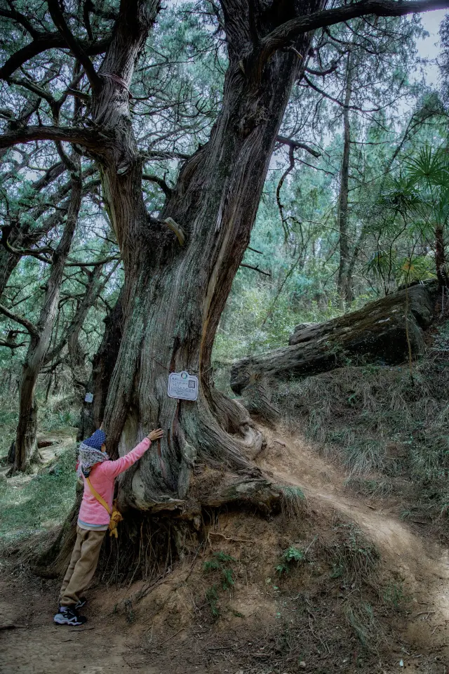 เที่ยวรอบเมืองเหมียนหยาง | สถานที่ที่เต็มไปด้วยเสน่ห์ของประวัติศาสตร์และธรรมชาติที่งดงาม