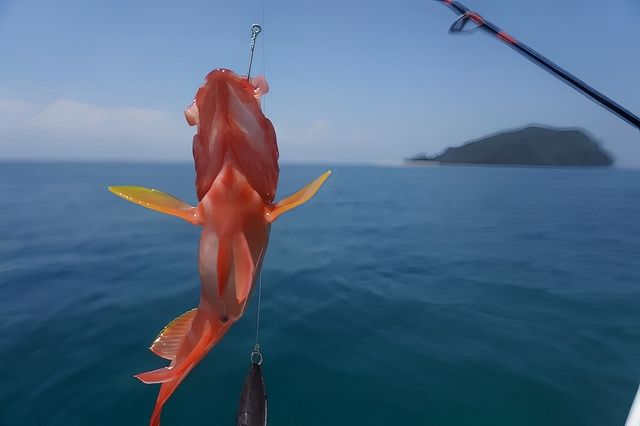 陵水雙帆石攻略|自己的海
