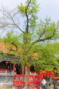 安徽小眾徒步好去處，皇藏峪國家森林公園