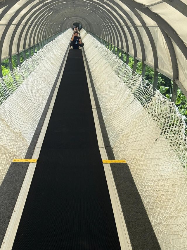 宜昌冷門寶藏打卡地：三峽九鳳谷，一個有很多瀑布的地方