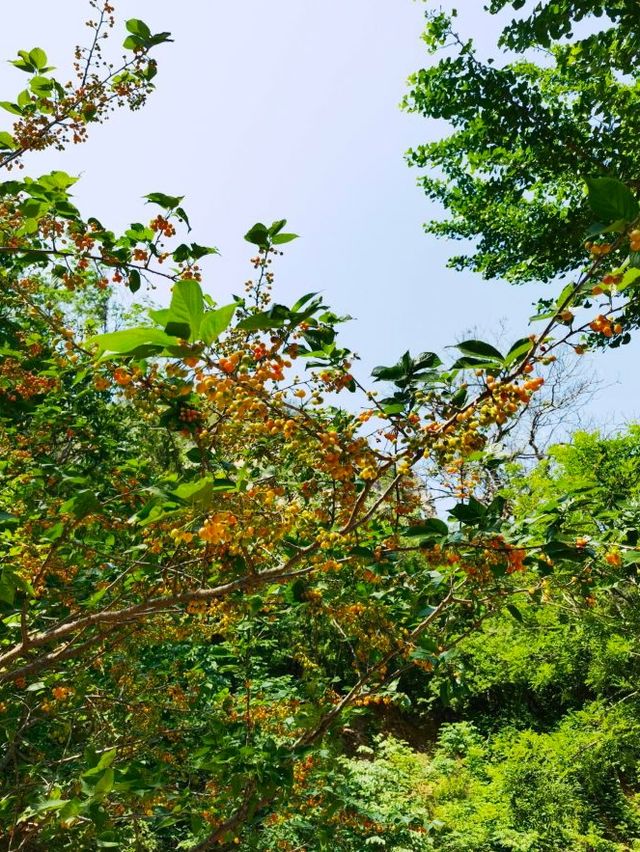 古靈山，不只是個景點，簡直是“笑”點滿滿的文化之旅！😂