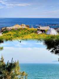 青島海邊露營勝地——魚鳴嘴村