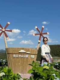泰順最新自駕網紅打卡地、筱村公社最值票價的人像拍照景點