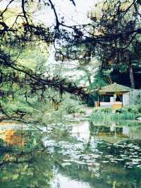 「京都庭院散步，你不可錯過的春天好去處」