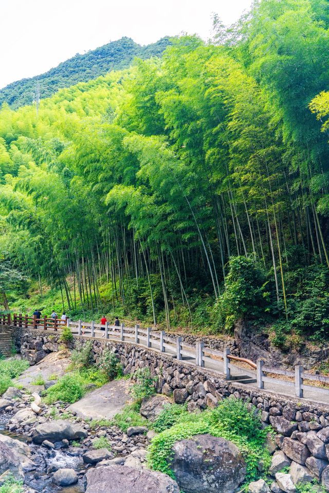磐安花溪一幅流動的畫卷