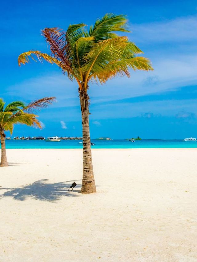 🌴🏖️ Maldives Magic: A Slice of Paradise at Angsana Velavaru 🌞✨