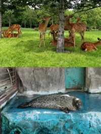 沈陽森林動物園