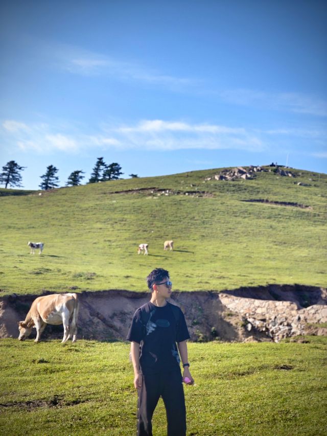 山西人也有屬於自己的阿勒泰