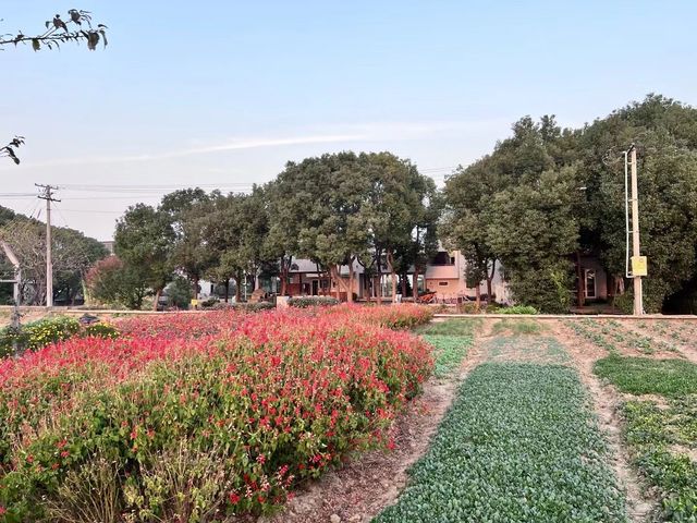 住進青山周平設計的江南風景裡，領悟取即是捨，捨即是取的寓意