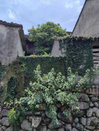 雁苍山旅遊區