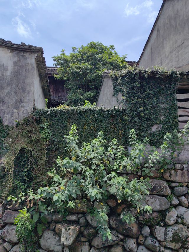 雁苍山旅遊區