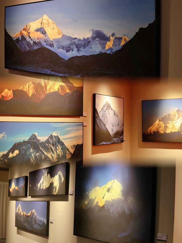 廣州看展，中國國家地理•探索 極致發現科學藝術影像展攻略