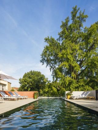 🌟 Nimes' Finest: Maison Albar's Luxury Stay 🌟