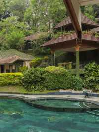 🌿🛏️ Kerala's Hidden Gem: Eco-Luxury at Thekkady! 🌟
