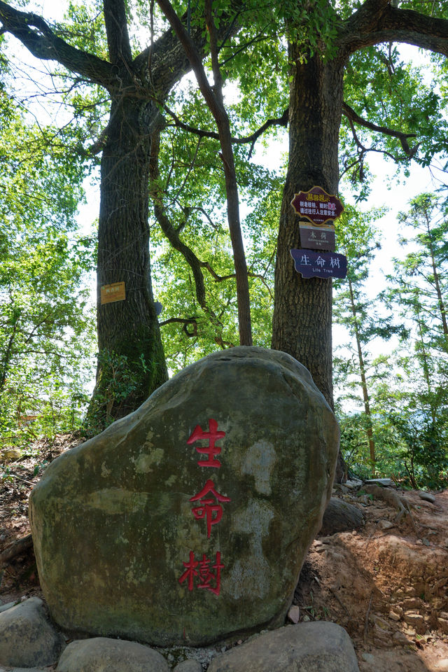 坐高鐵遊貴州｜黔東南岜沙苗寨