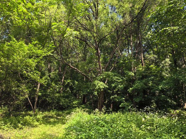 奇景如畫，猴石探秘—撫順猴石國家森林公園旅遊攻略
