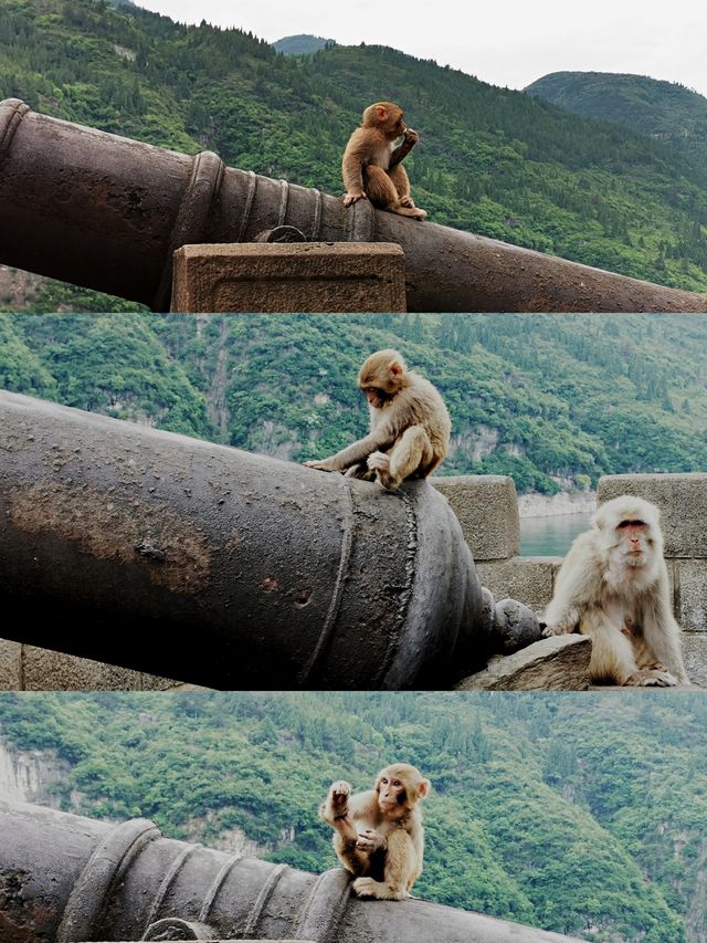奉節 | 瞿塘峽