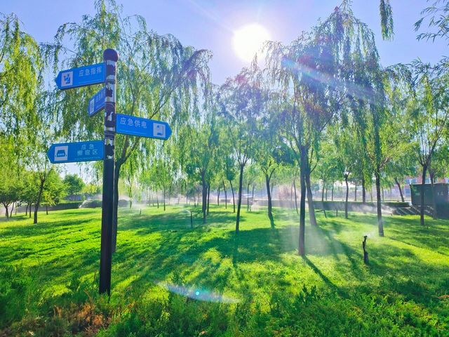 寧夏吳忠還有這麼美的公園