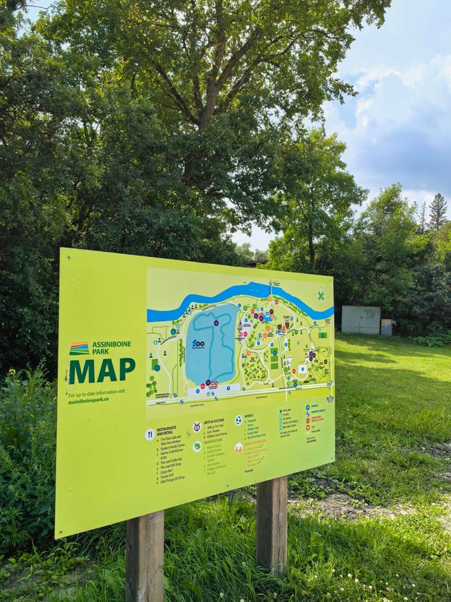 阿西尼博因公園：在這裡可以看到胖嘟嘟的北極熊在你頭頂游泳打鬧