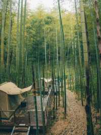 國慶親子遊，莫干山腳下的室外桃源