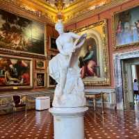 Palazzo pitti Florence  ancient building