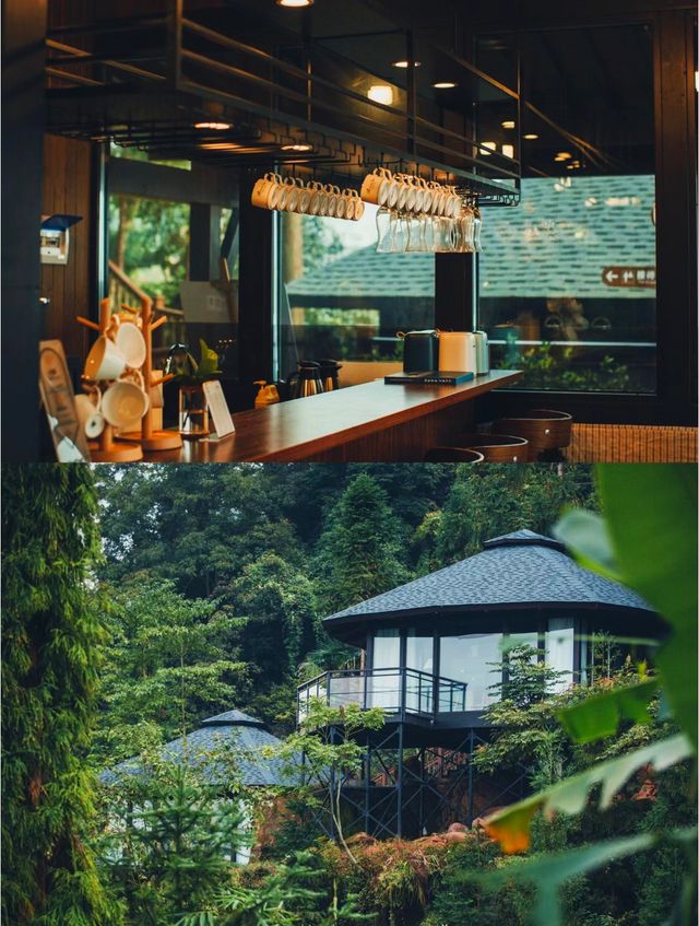 就在四川樂山!隱於茶山雲海深處的避世鄉居!