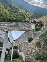 承包松陽古村雲海!700米山谷間的原舍揽樹。