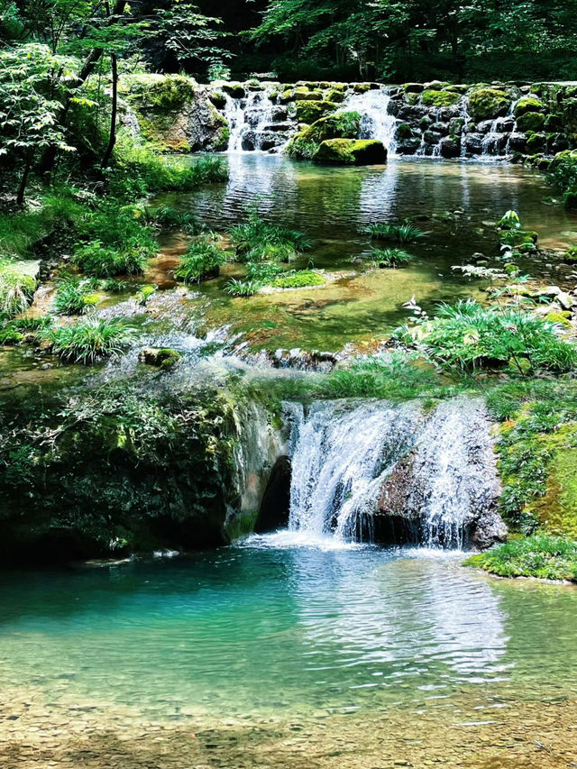 反向旅遊 | 商洛山裡的綠野仙蹤，美哭。